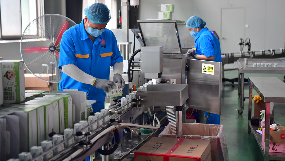 廣昌縣致純食品股份有限公司生產車間內，工人們正在對產品進行包裝。